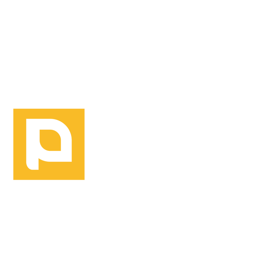 Pixo Studio Wedding House Logo